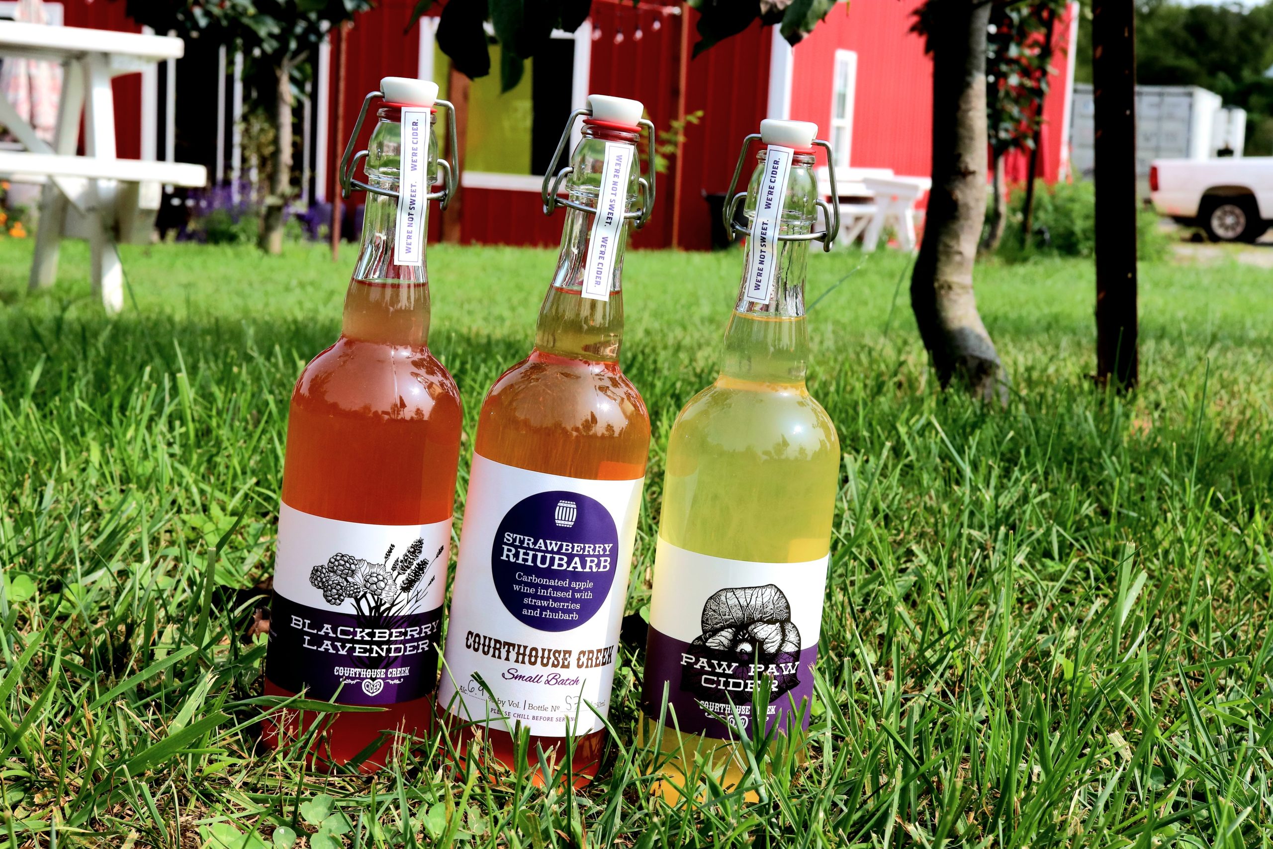 Ciders sitting in grass