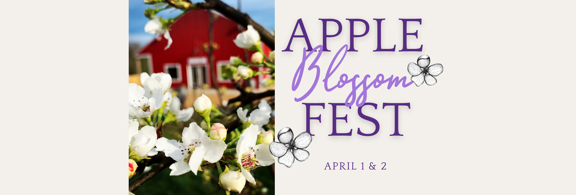 Apple Blossom Fest (1920 × 650 px)