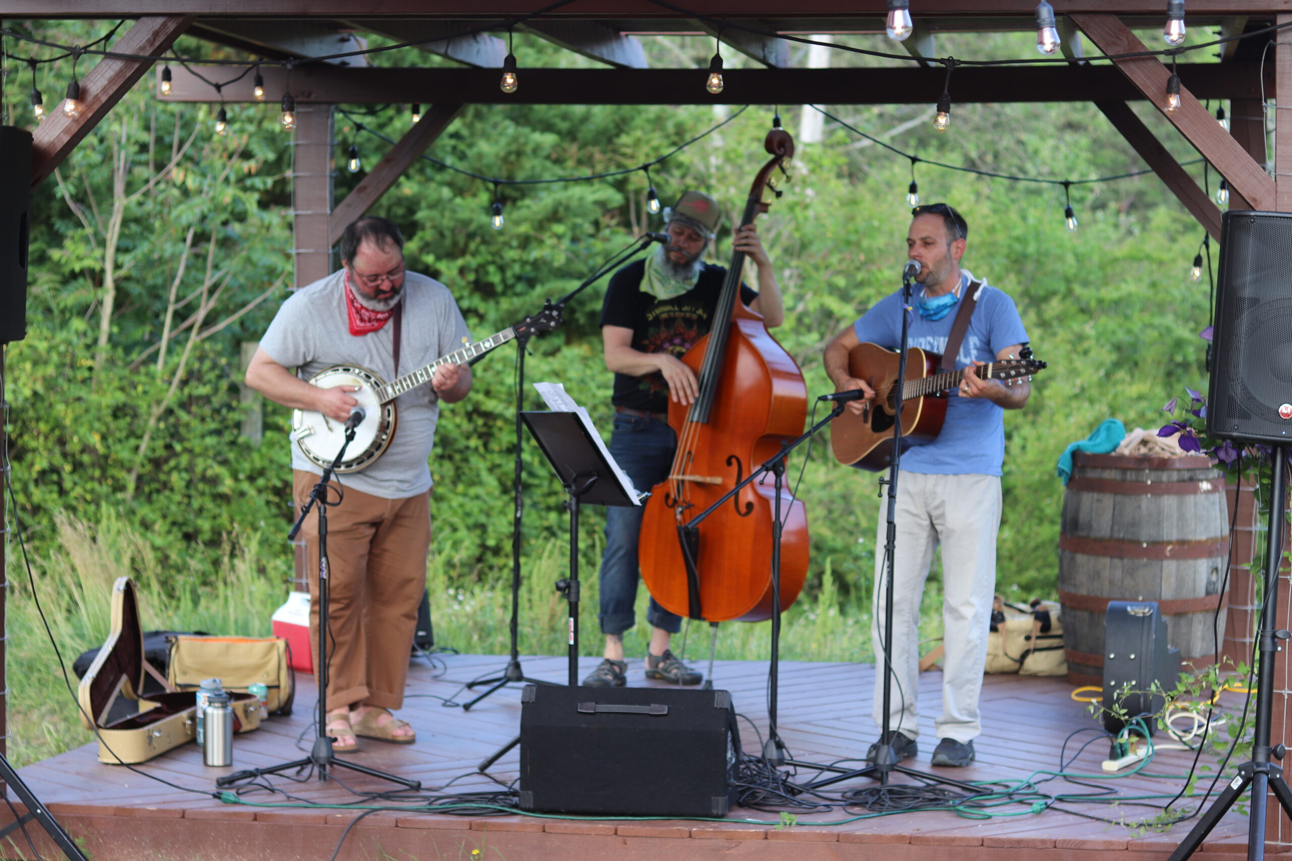 Bluegrass River City Band